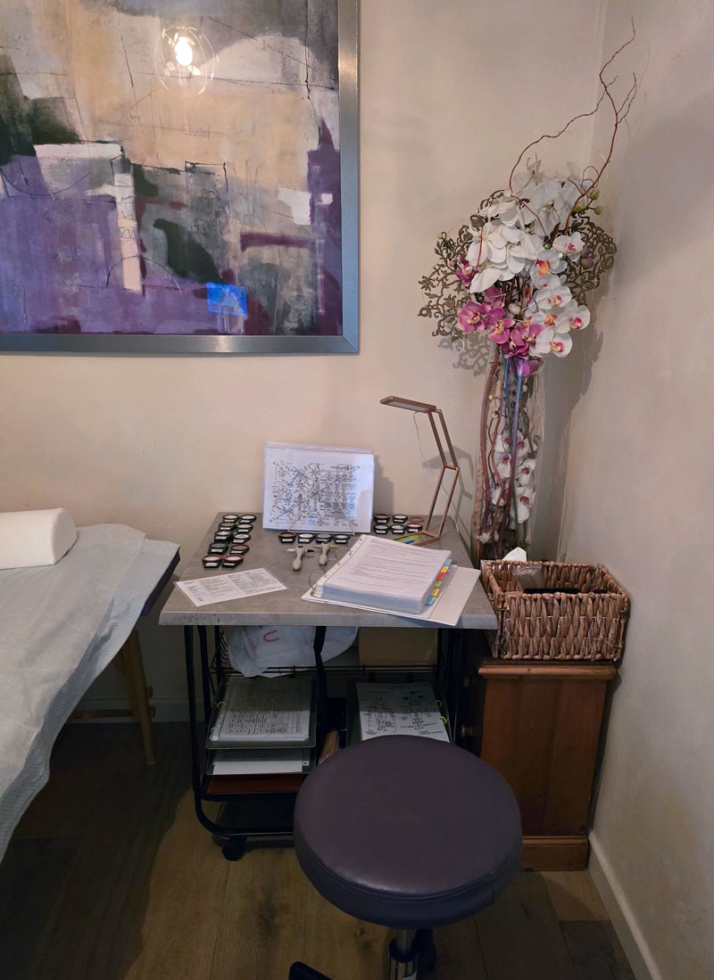 L'approche Etio Somato-Emotionnelle AlbaNova